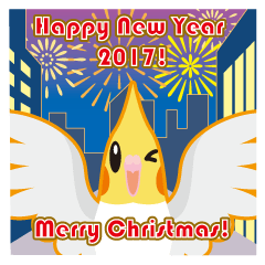 2017 Cockatiel with a cute cheek