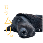 Reiko...