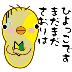 A cute yellow bird named Saori