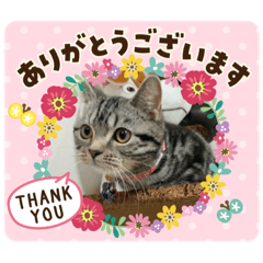 morisakura