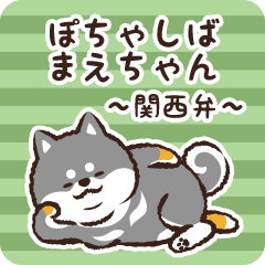 Pocha Shiba Maechan (Black)