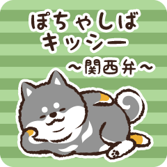 Pocha Shiba Kisshii (Black)