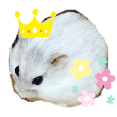 asuka_20201104181237