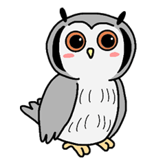 Northern white-faced owl