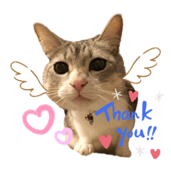 yukari_20201105111440