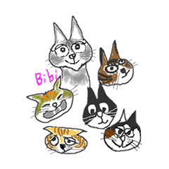 Cat Bibi and her funny friends