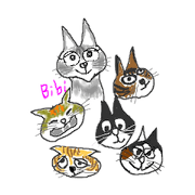 Cat Bibi and her funny friends