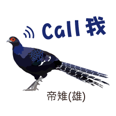 台灣野鳥-傑洛德拍鳥與繪鳥系列2