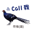 台灣野鳥-傑洛德拍鳥與繪鳥系列2