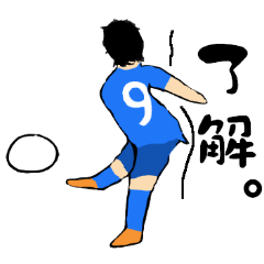 Soccer player vol.14