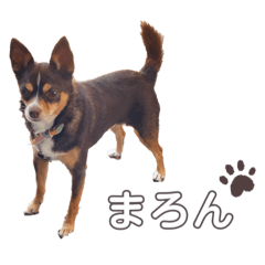 NOZOMI_20201105173929