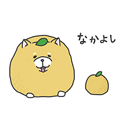 僕の名前は”オレンジ”