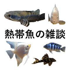 Tropical Fish Sticker Collection