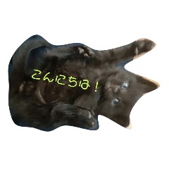 MOCHI_20201105172248