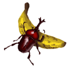 Beetles & Stag beetles sticker