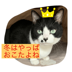 aoi_20201106002400
