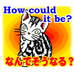 猫で英会話 よく使う英語編vol2