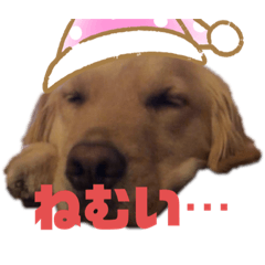 nanami_20201105204951