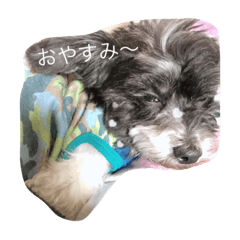 rei_20201105223259
