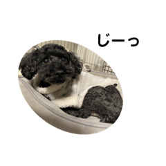 NANAMI_20201106013649