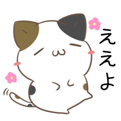 Hiroshima dialect calico cat 2