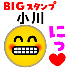 OGAWA KANJI FACE (Big Sticker)