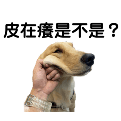 BuBu生活-第七季