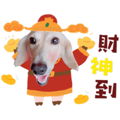 我是可愛的豆豆 聖誕新年篇