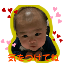 hona_20201106115344
