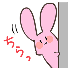 Yuki-kun, the rabbit