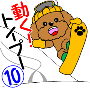 Move! Toy poodle 10