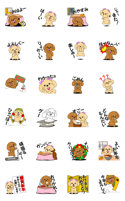 Move! Toy poodle 10