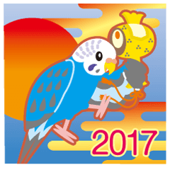 2017~budgerigars budgerigar