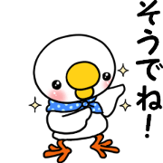 kiyosige kun