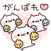 Cat organizations animation!