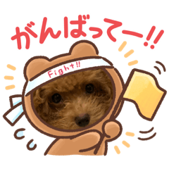 cocoa_20201106040745