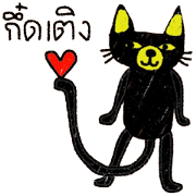 North Cat