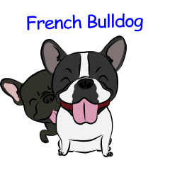 French Bulldog named Kon&Paff