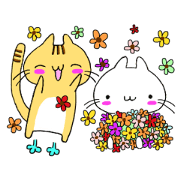 Fortune cat 3