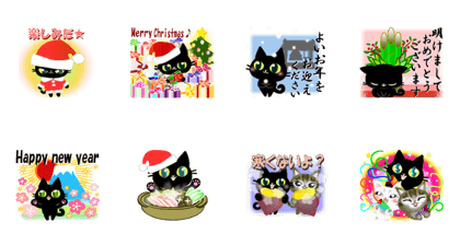 Small, obliging, black cat.3