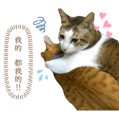 吉的寶2
