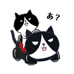 kari_2020mpcat