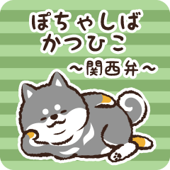 Pocha Shiba Katsuhiko (Black)