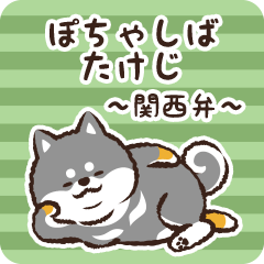 Pocha Shiba Takeji (Black)