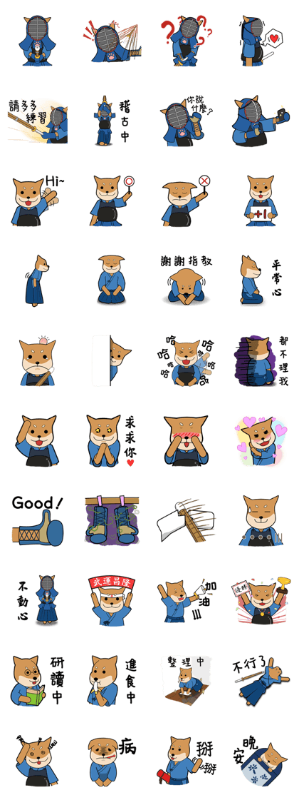 Kendo Shiba Inu - KENTA