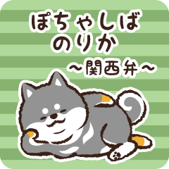 Pocha Shiba Norika (Black)