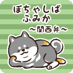 Pocha Shiba Fumika (Black)