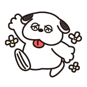I am a cute dog