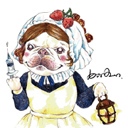 Bonbonfrenchie funny stickers