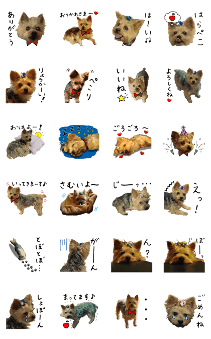 Sweet yorkie 's stickers